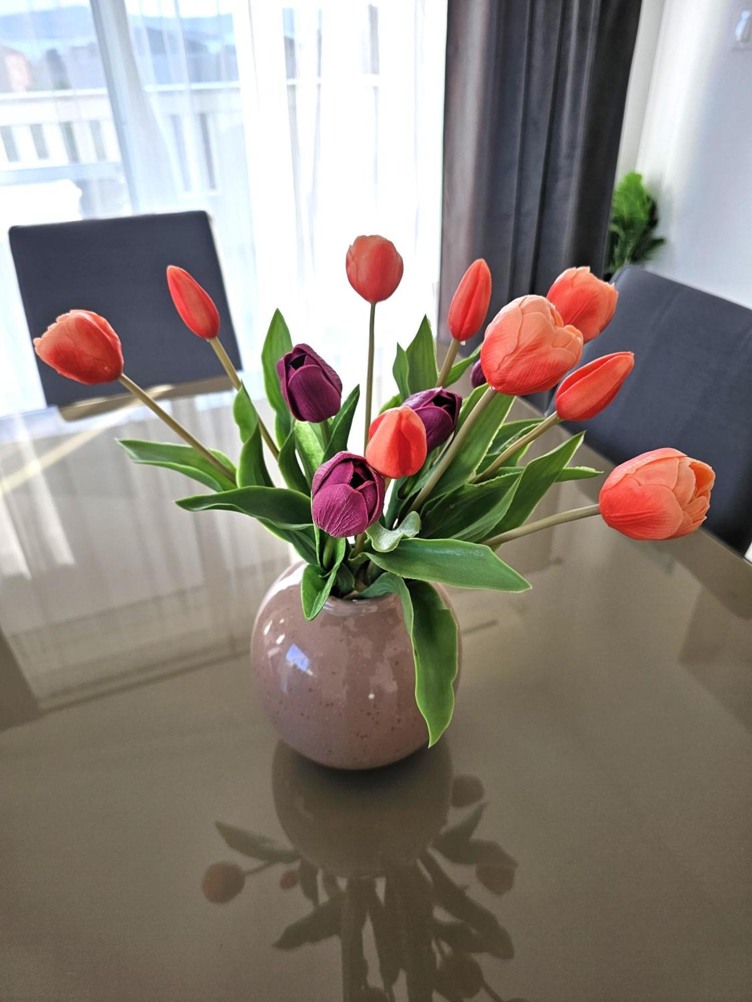 Apartment Zara Biograd Na Moru Zewnętrze zdjęcie